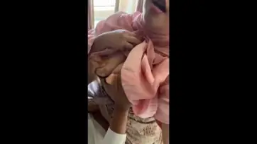 Live Tante Lusty Pamer Goyangan Maut Bikin Nagih 2026